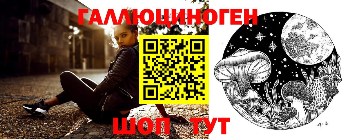 Галлюциногенные грибы Psilocybe Ивантеевка